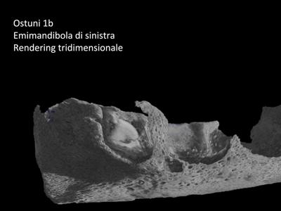 Dallo smalto dei denti svelata vita di madre e figlio vissuti 27mila anni fa