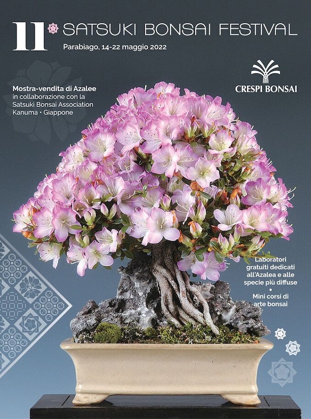 11° Satsuki Bonsai Festival