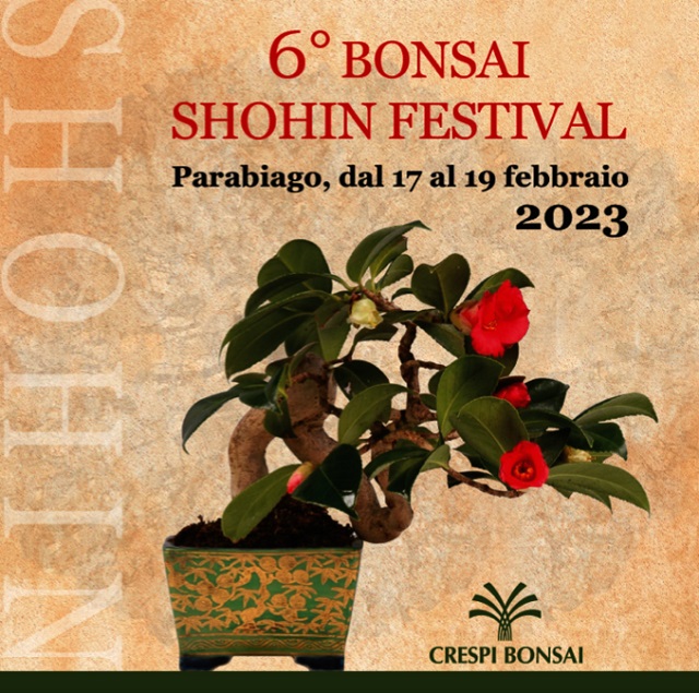 6° edizione Bonsai Shoin Festival