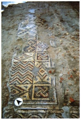 Mosaici a Musa. I pavimenti musivi della chiesa di San Martino Prope Litus Maris