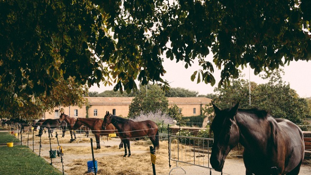 Fieracavalli al concerto del Sole riscopre territori, cultura e tradizioni