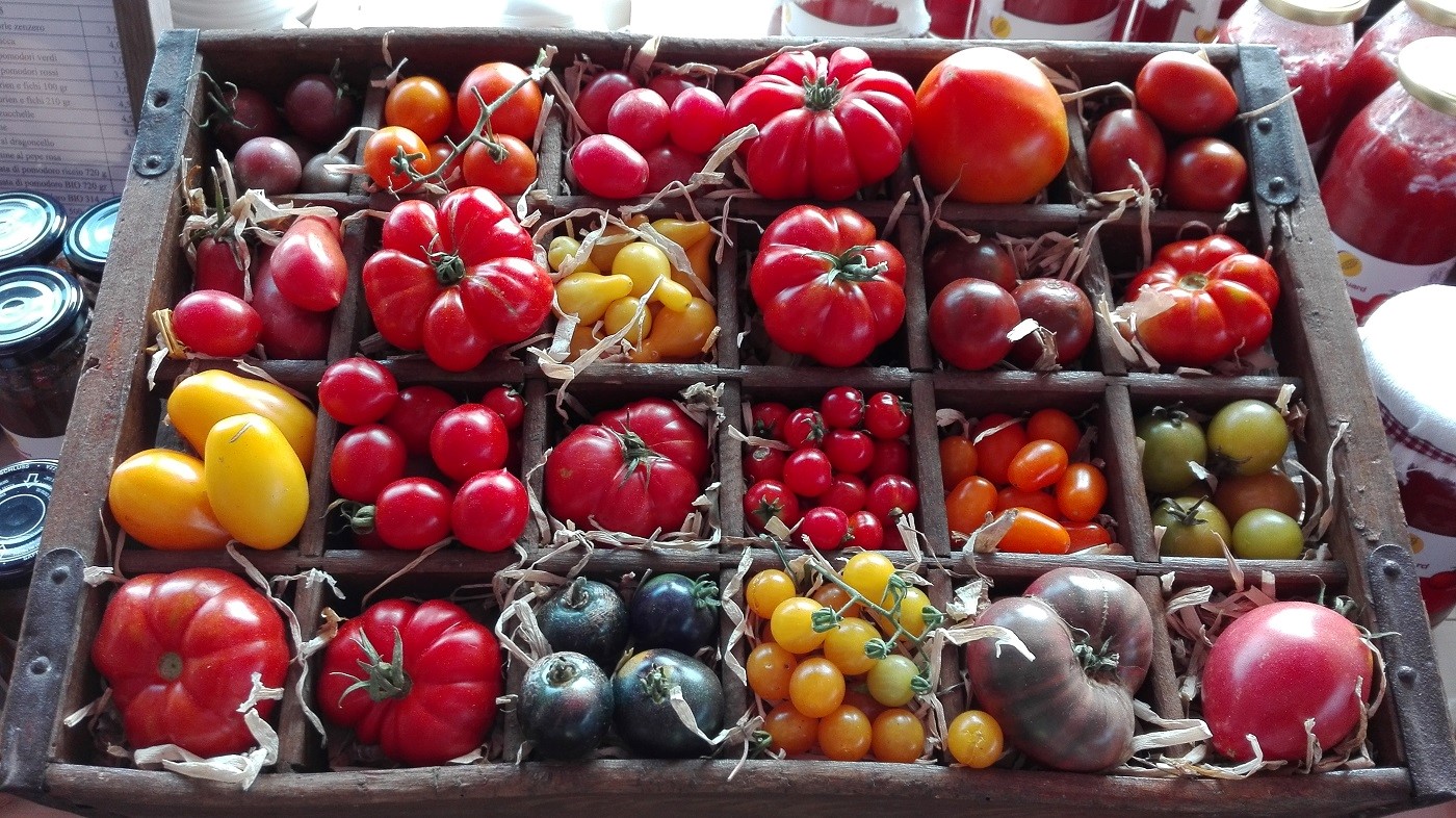 Rural Festival: la mostra-mercato di biodiversità approda nel Chianti