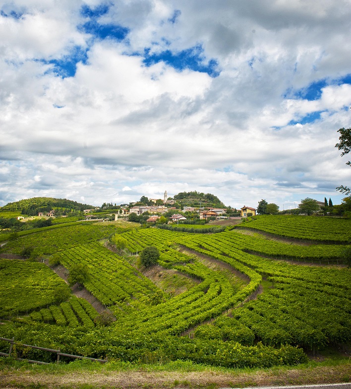 Guida Slow Wine: il Soave è una “chiocciola” che corre lontano