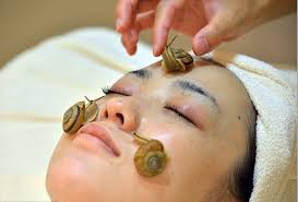 Nasce il Celebrity Escargot Course
