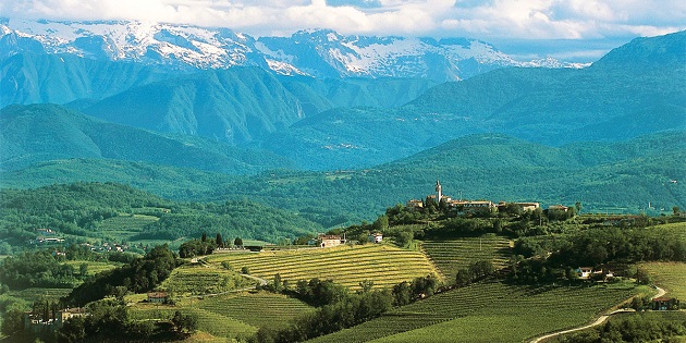 Weekend in Collio tra cantine, castelli e territori del vino