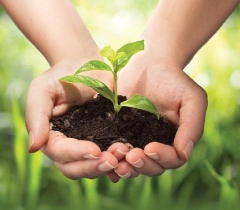 Scuola: i tetti diventano giardini. La lezione di agronomia è outdoor