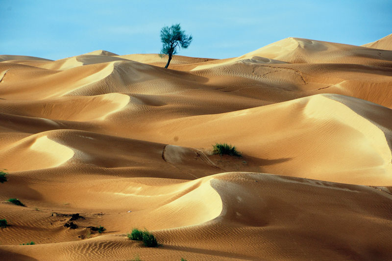 Salalah e Dhofar: la via dell’incenso