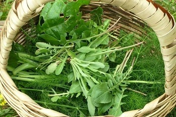 Dal 31 maggio al 2 giugno ritorna Gusterbe Day
