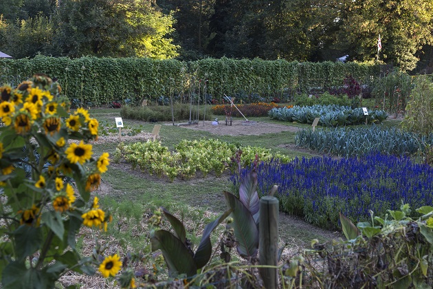 Tornano gli “orti de la Malpenga”