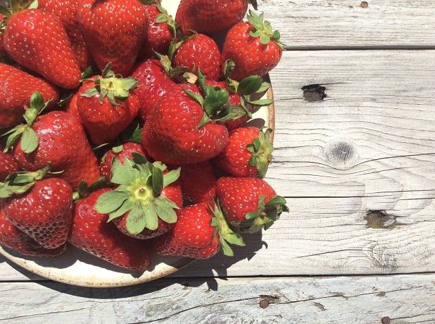 Scorpacciata di fragole alpine  in Val Venosta