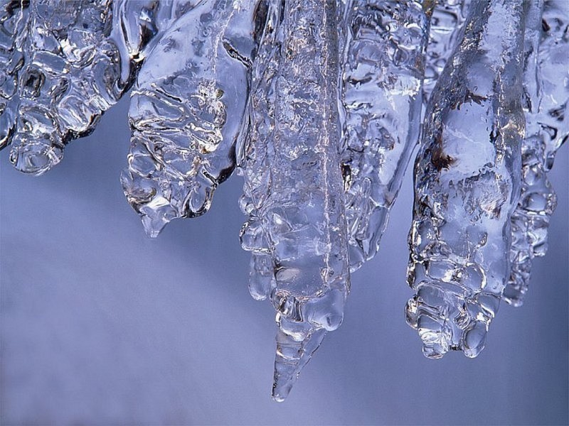 Ice land. Il mondo del ghiaccio