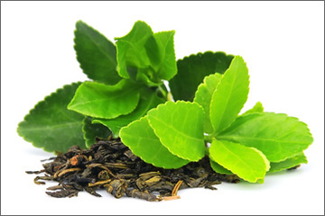 Caldo. Come affrontare insonnia e calo di forze