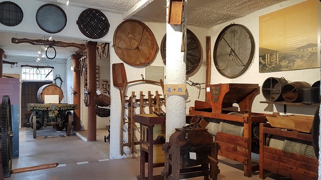 In esposizione un secolo di viticoltura e mondo agricolo della Romagna