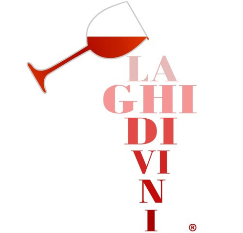 Metropolis. Al via la quinta edizione di “Laghidivini 2012”