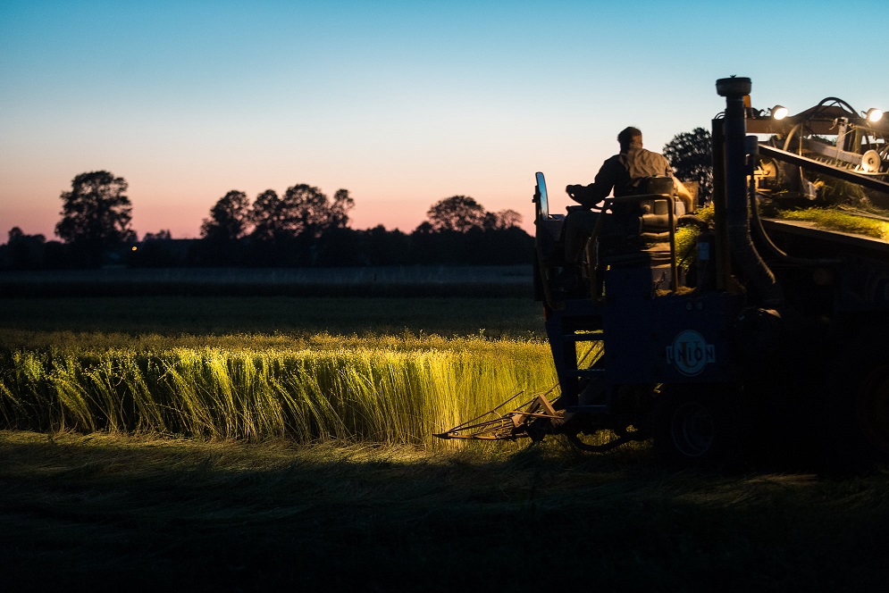 C’est juin qui fait le lin! (e’ giugno che fa il lino!)