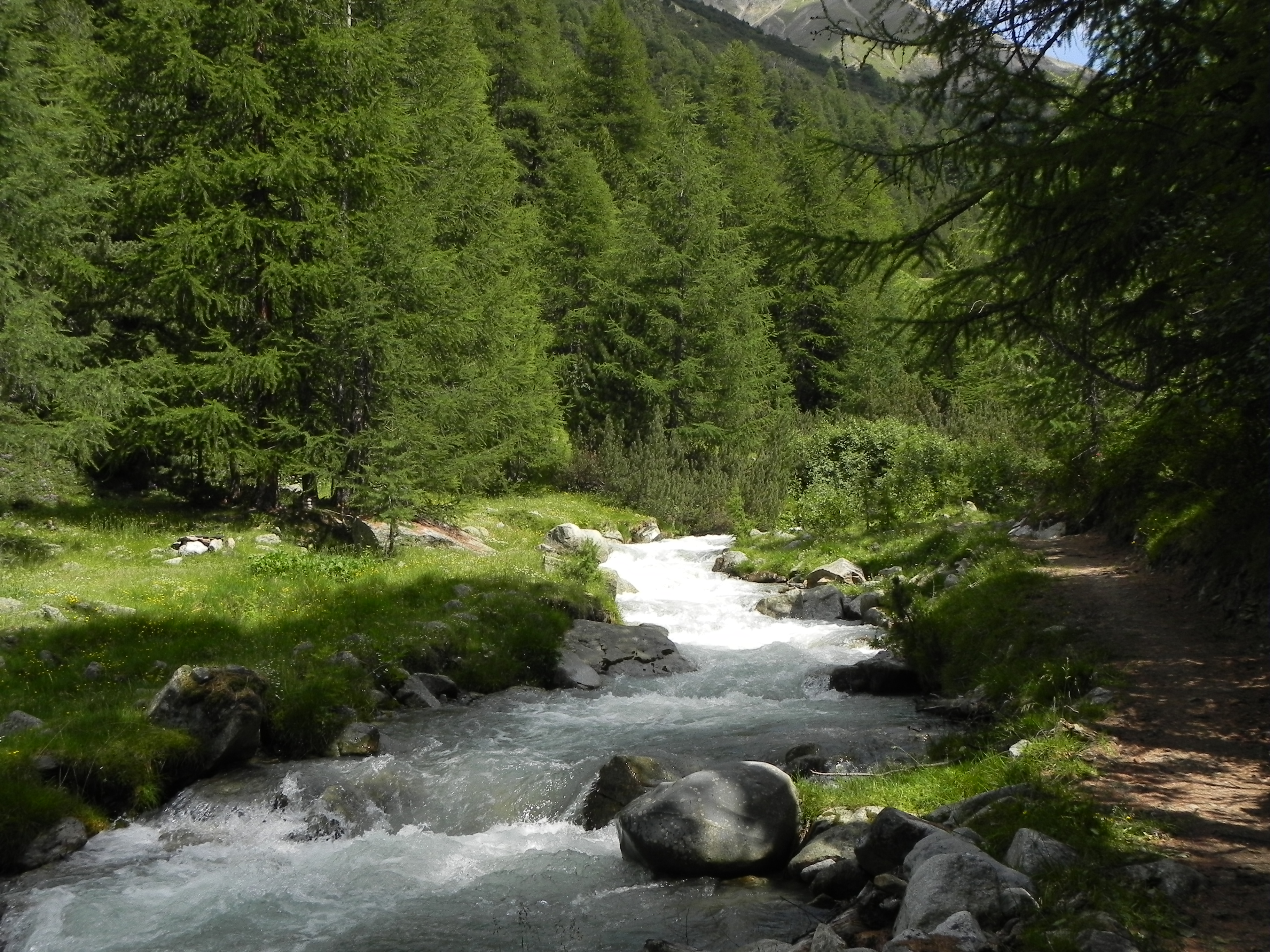 Livigno. Dall’11 al 15 settembre si va alla scoperta dell’Osho Painting