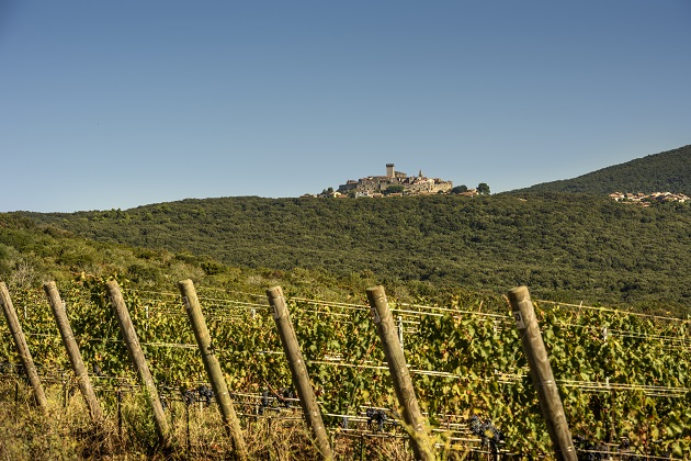 La Maremma del sud e l’eccellenza