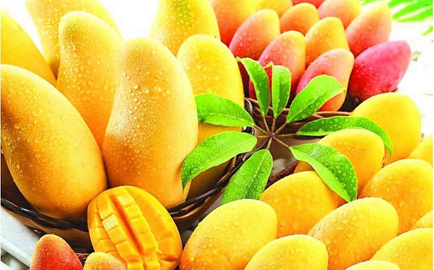 Le sconosciute qualità del mango, frutto dalle mille virtù