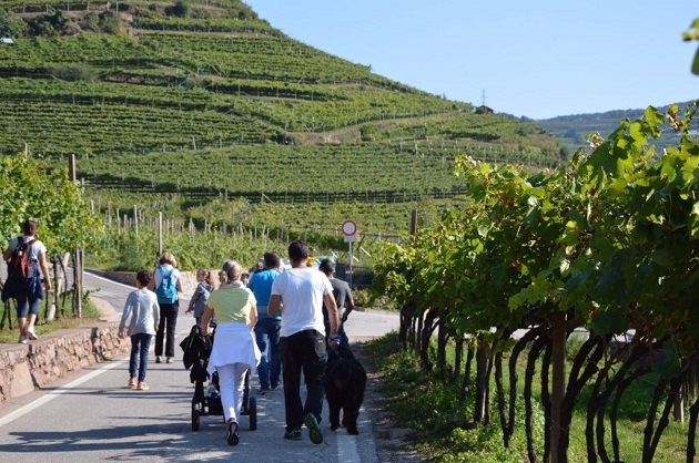 Festa dell’uva: riflettori sulla Val di Cembra