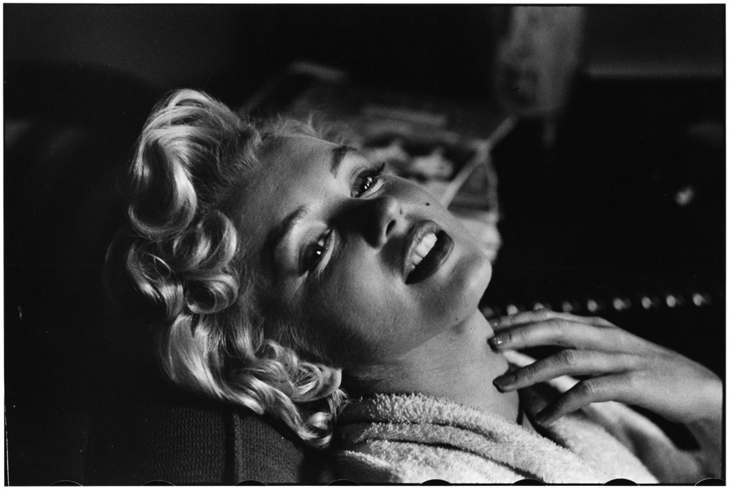 Elliott Erwitt / Icons