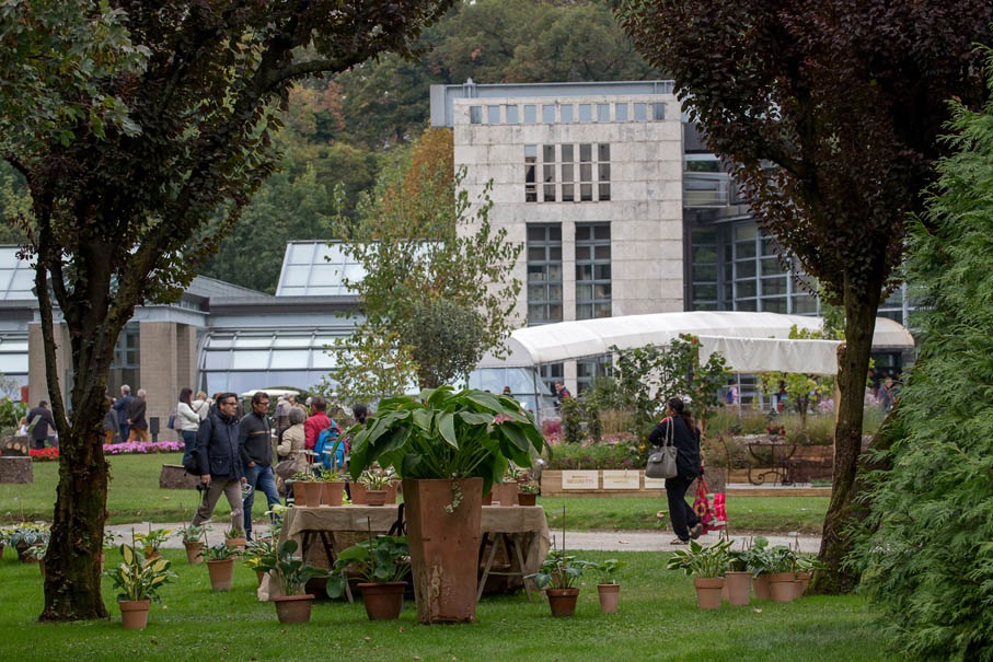 Orticolario, si apre il concorso “giardini creativi”