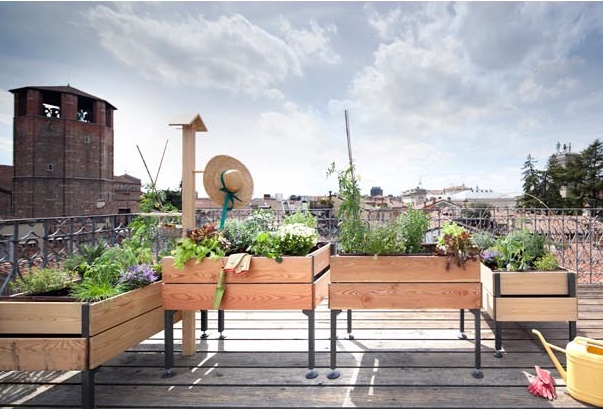 Orto urbano,  che passione!
