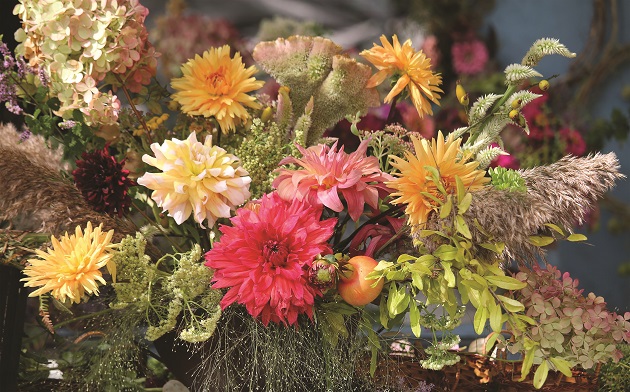 Ortocolto invade Busseto