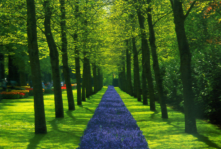 10 cose che devi smettere di fare per essere felice