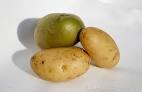 Patate. Tossiche quelle verdi