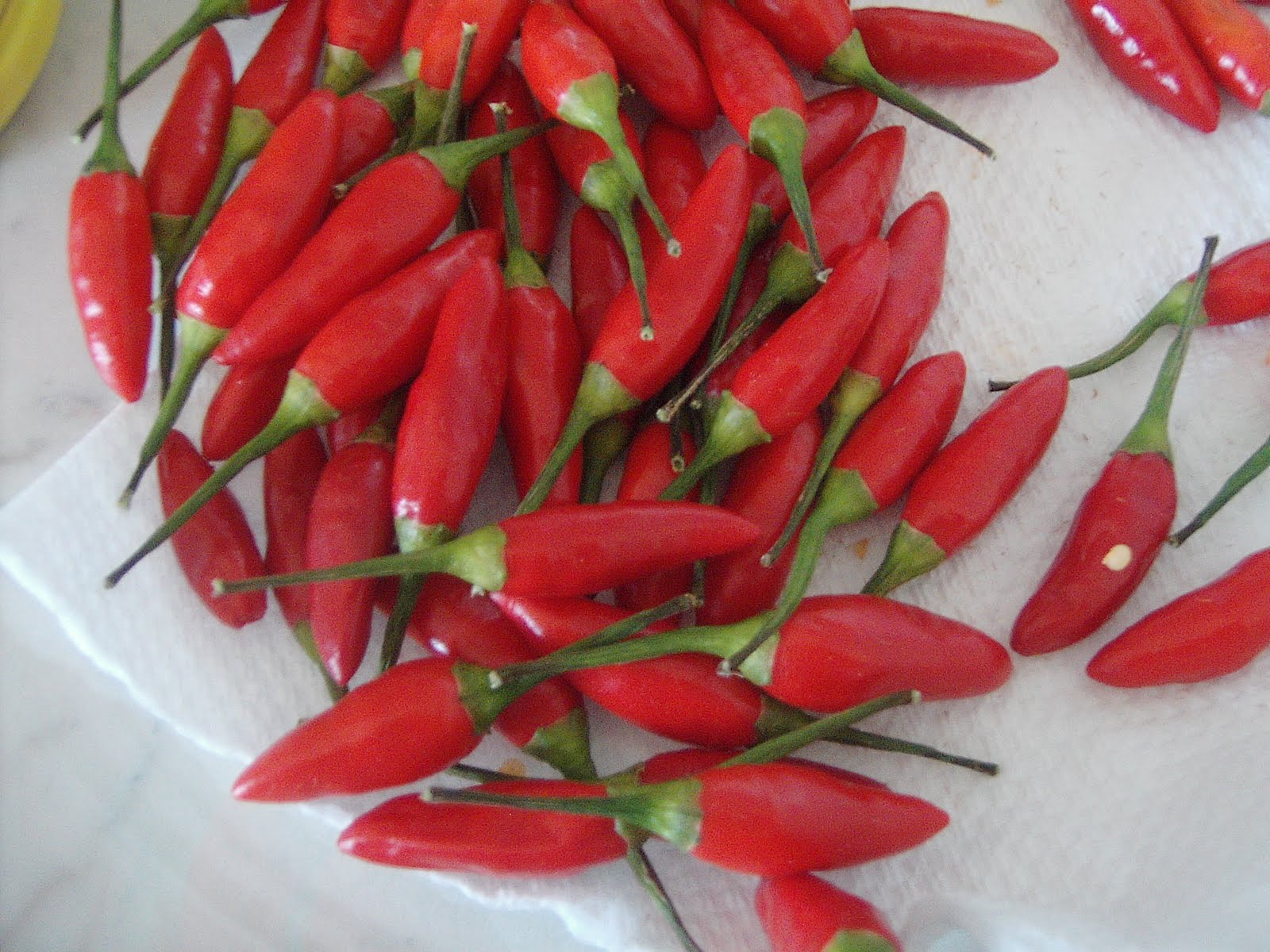 Piccantissima..tutta da scoprire