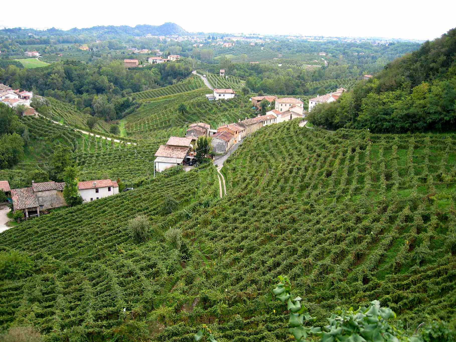 Il fascino autunnale di Valdobbiadene