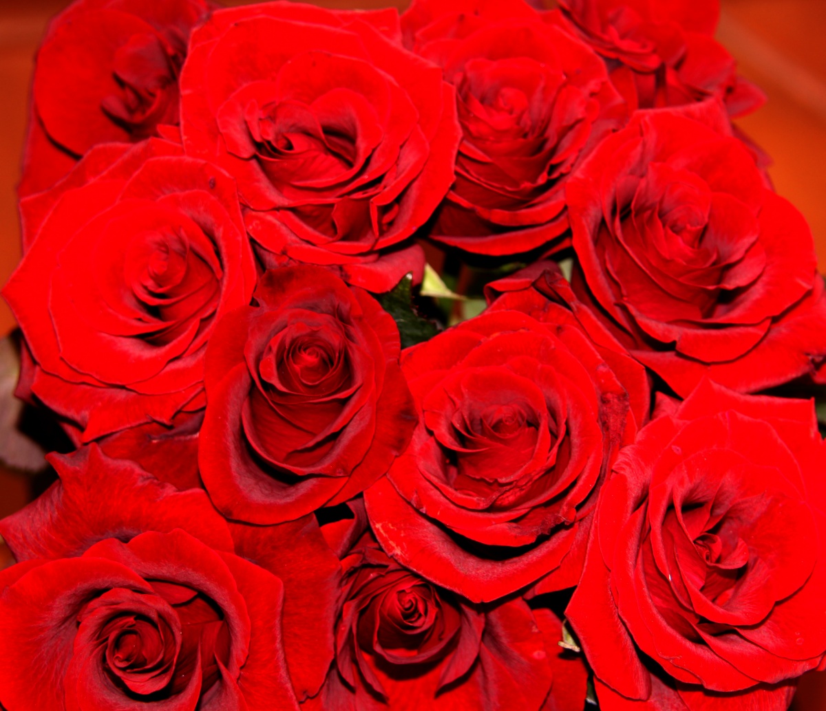 San Valentino senza il profumo dei soldi arriva quello dei fiori