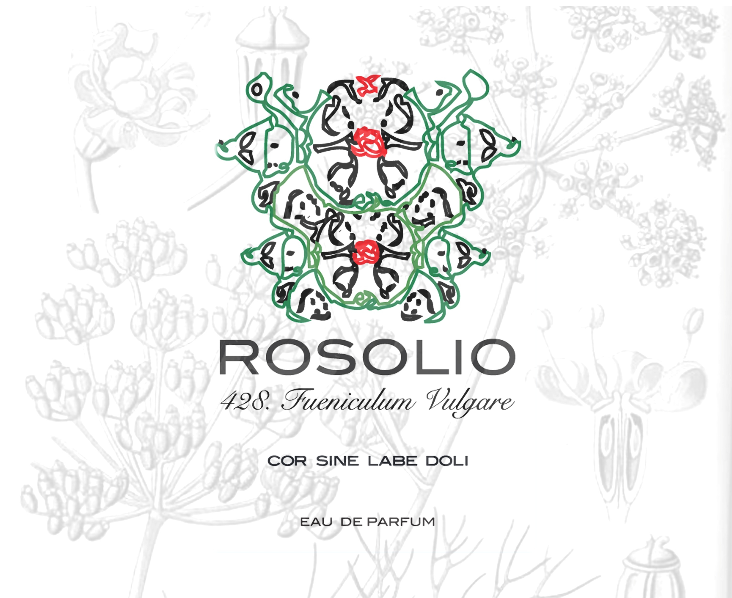ROSOLIO 428 FOENICULUM VULGARE