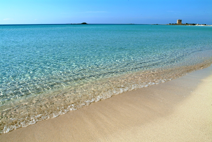 Estate. Per Google vincono spiagge, amore e diete