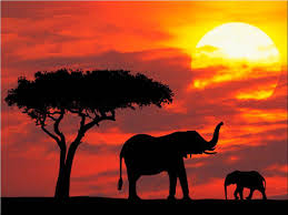 La mia vita in Sud Africa
