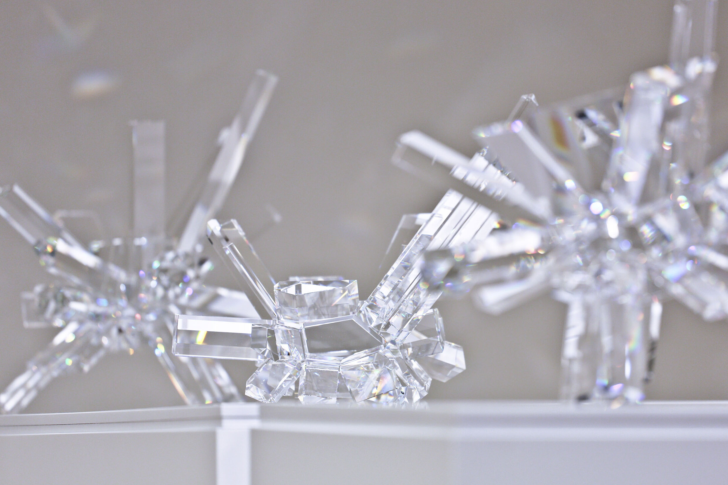 I Mondi di Cristallo Swarovski