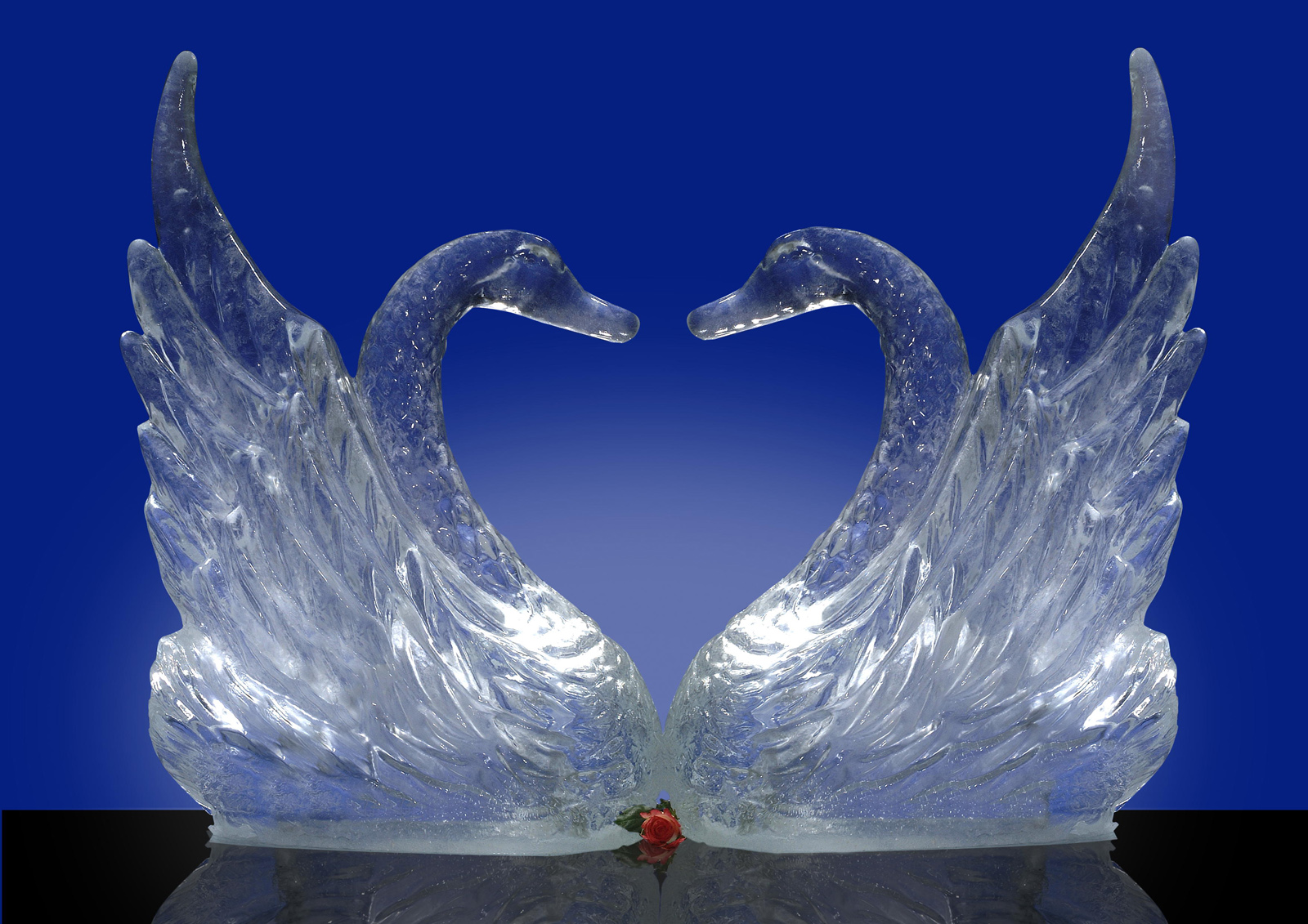 Top Ice Festival: il fascino del ghiaccio