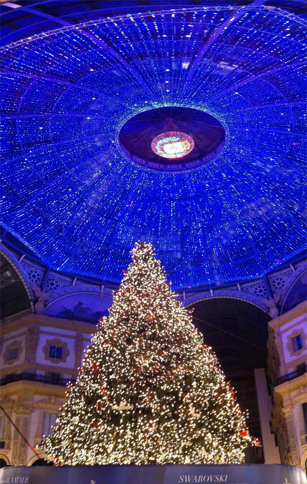 Natale in dirittura d’arrivo: ecco gli alberi “d’autore”