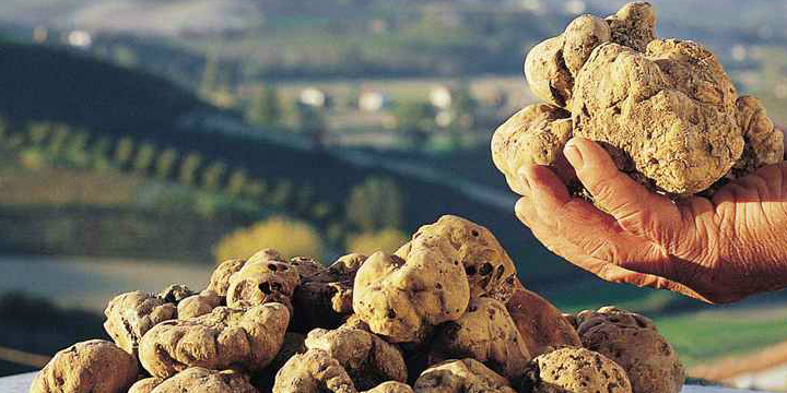 Il Mercato del tartufo bianco d’Alba
