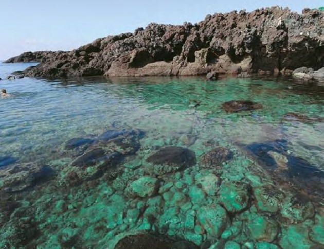 A “Ustica Villaggio Letterario” il 1° Trofeo Maiorca