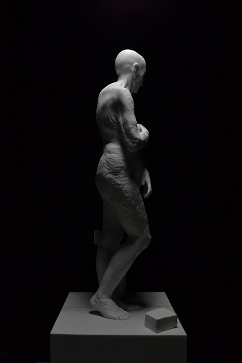 La sorprendente Venere di Jago