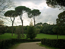 Da Saviano a Elio e le Storie Tese, a Villa Ada “Roma incontra il mondo”