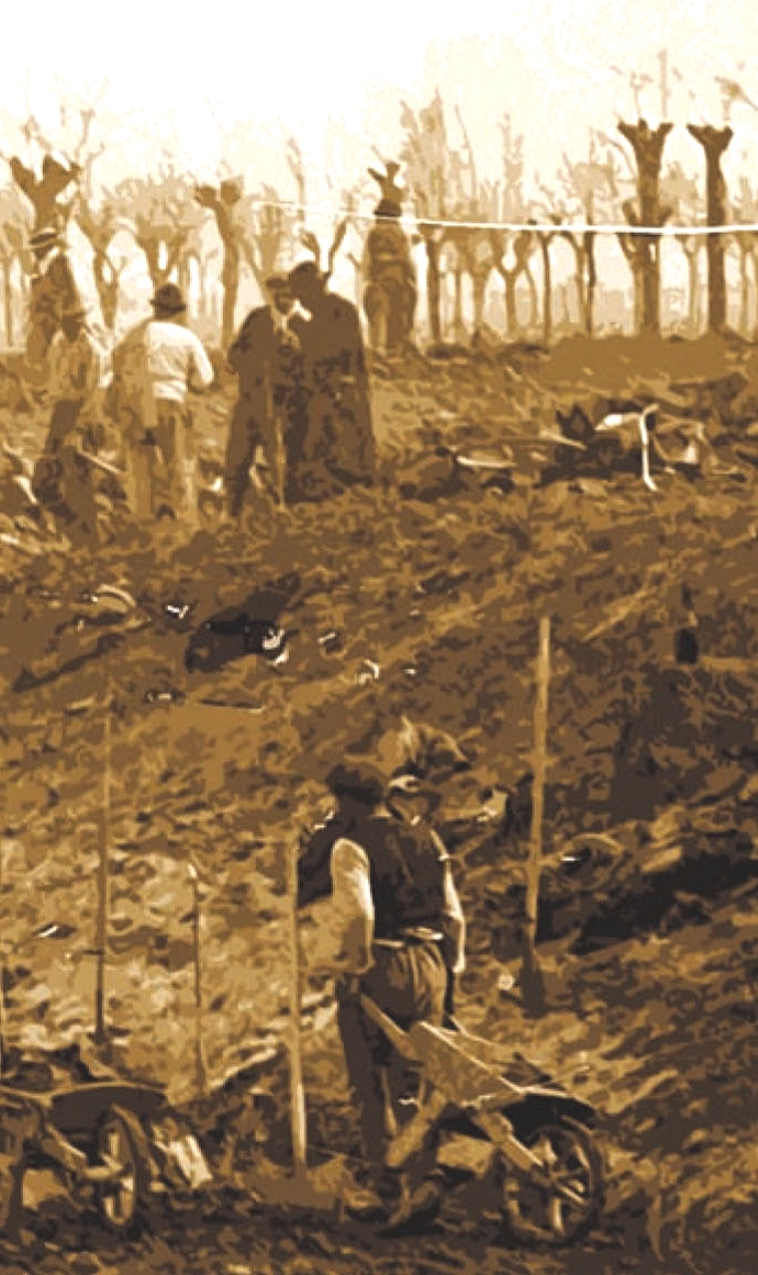 Aquae. La gestione dell’acqua oltre l’unità d’Italia nella pianura emiliana