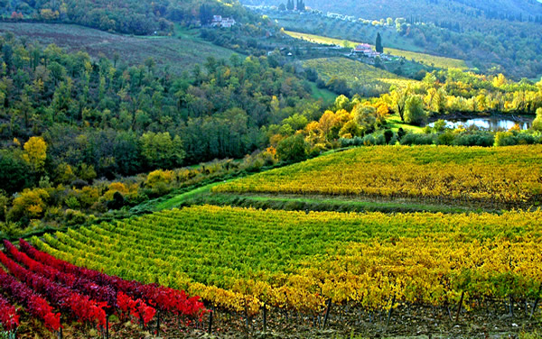 Agriturismo a Pasqua. attenzione alle fregature