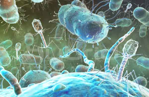 Allarmante aumento dei batteri resistenti agli antibiotici