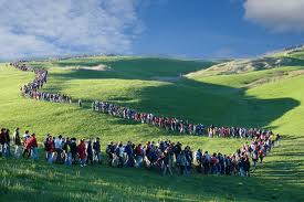 Una ricetta sfiziosa e veloce per gustare le qualità del formaggio Asiago