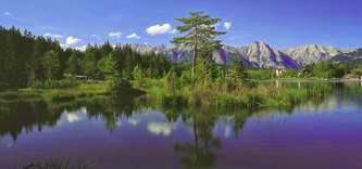 Austria. Nature-watch tour, pasticcerie e ristoranti storici