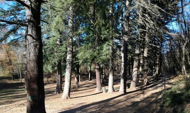A Siracusa nasce il Bosco delle Troiane