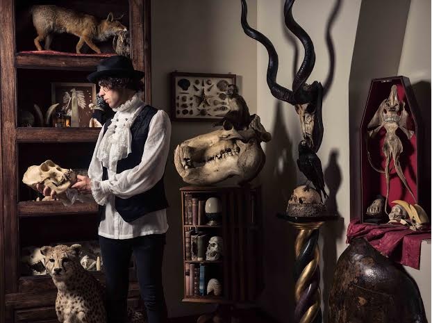 La Camera delle Meraviglie