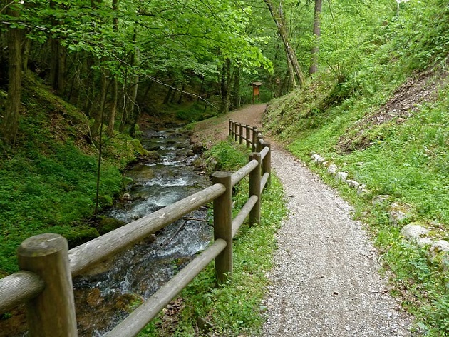 In silenzio nella natura per trovare un po’ di pace